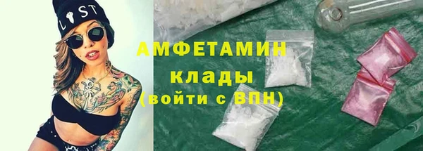 спиды Елизово
