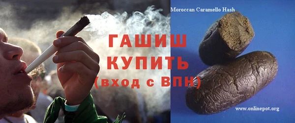прущие грибы Ельня