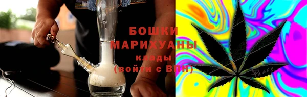 прущие грибы Ельня