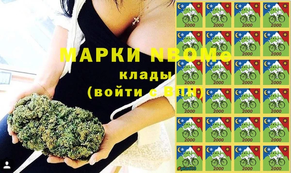 шишки Абаза