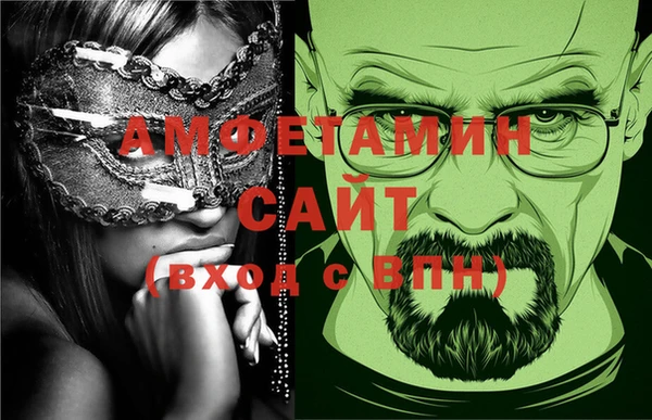 шишки Абаза