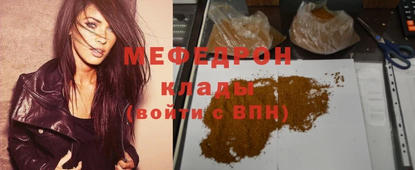 шишки Абаза