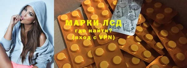 шишки Абаза