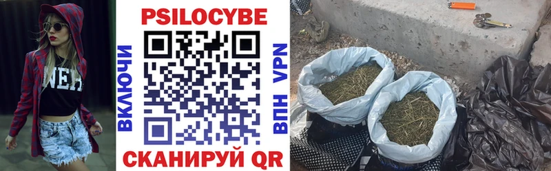 Псилоцибиновые грибы Psilocybe  где продают   Урус-Мартан 